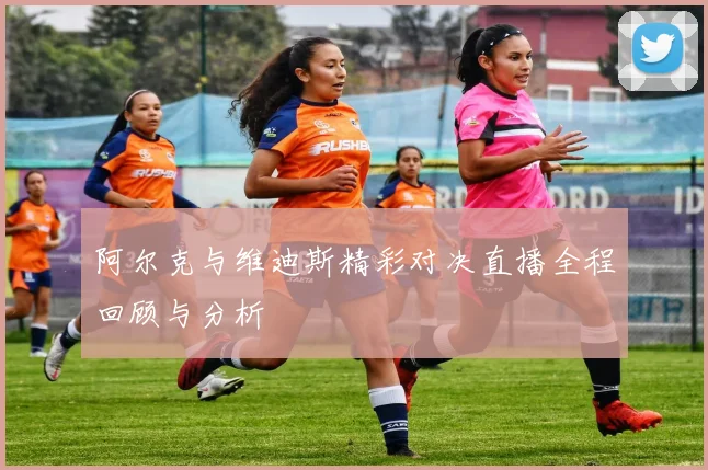 阿尔克与维迪斯精彩对决直播全程回顾与分析